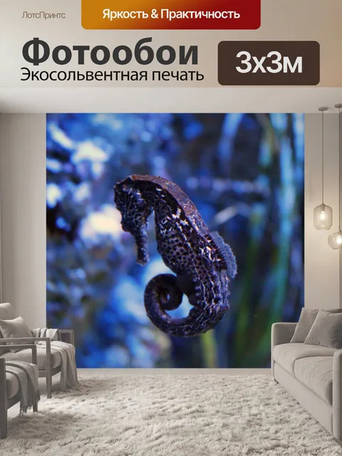 Фотообои морской конек
