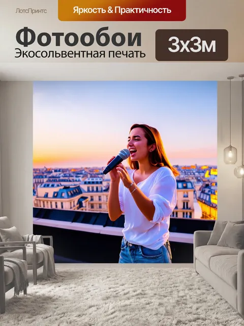 Фотообои караоке на крыше в париже