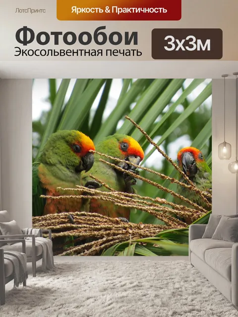 Фотообои Попугай