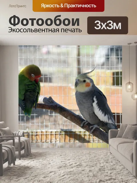 Фотообои Птицы, попугаи