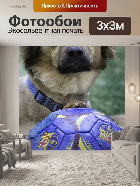 Фотообои Домашний питомец