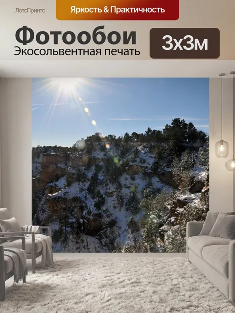 Фотообои Снег покрыл стены каньона