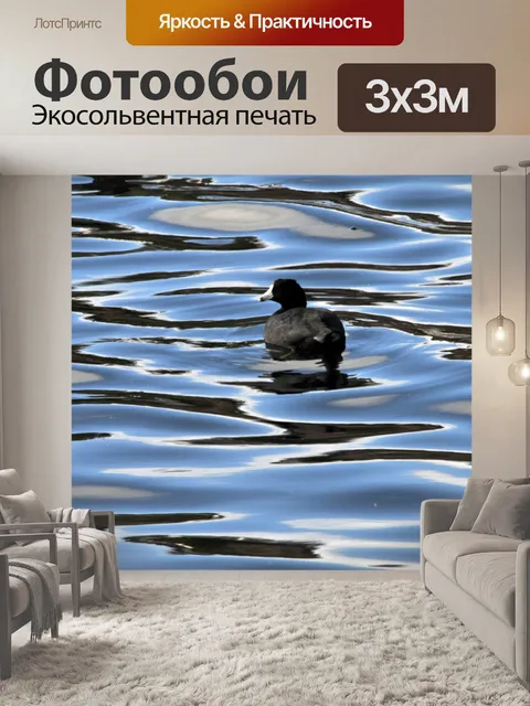 Фотообои Кут в воде