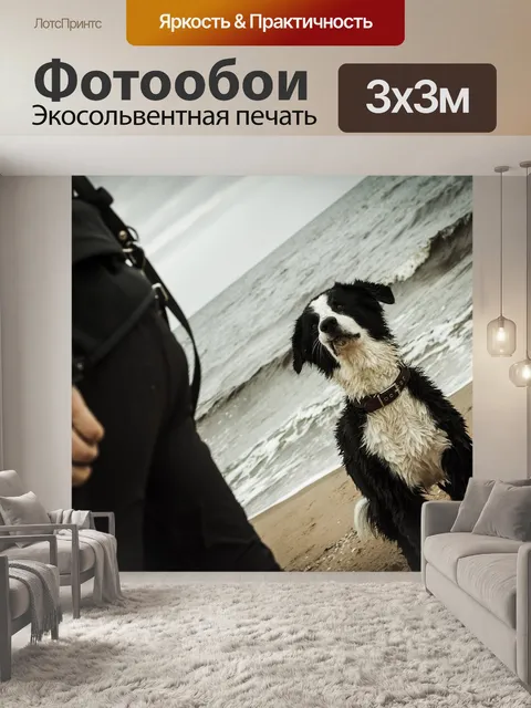 Фотообои Собака