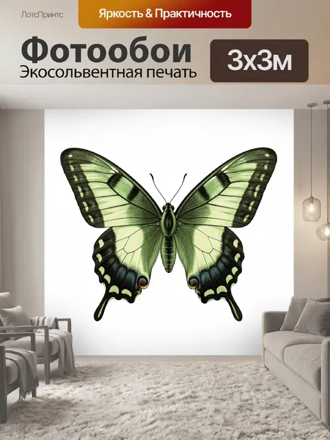 Фотообои Зеленая бабочка с узорчатыми крыльями