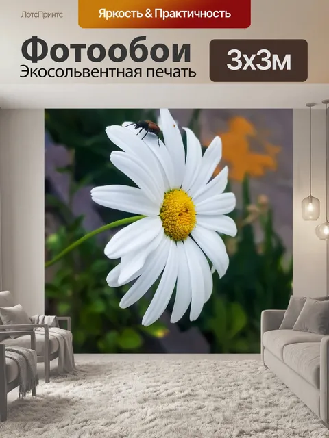 Фотообои Белый