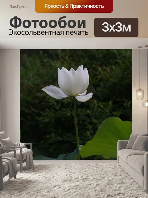 Фотообои Живописи тушью