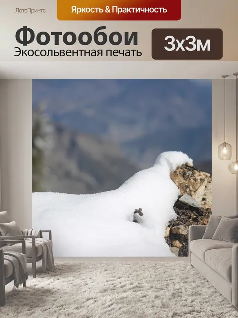 Фотообои Снегопад