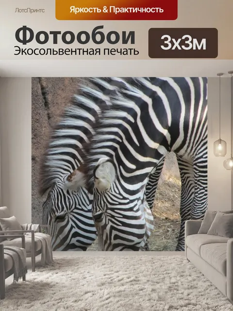 Фотообои Зебры
