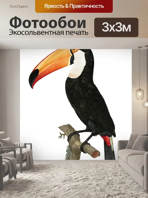 Фотообои Тукан птица старинное искусство