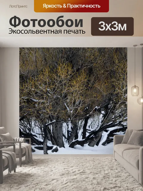 Фотообои Рапунцель: Запутанная стволы деревьев