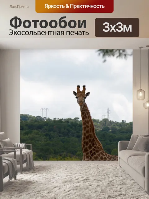 Фотообои длинная шея и голова высокого жирафа
