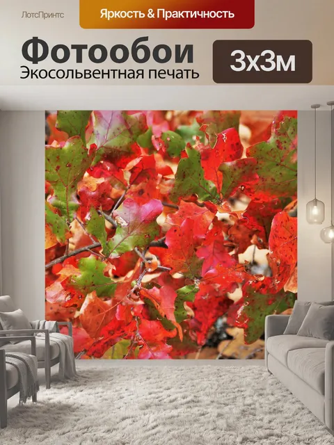 Фотообои Фон из красного и зеленого дуба
