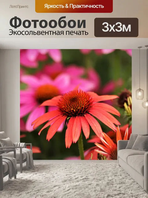 Фотообои Оранжевые и розовые цветы конуса