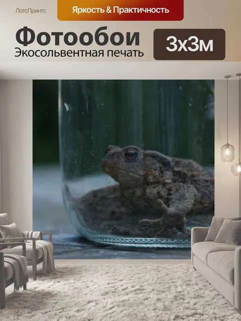 Фотообои Жаба