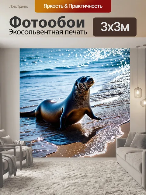 Фотообои тюлень, взобравшийся на сеяющийся светом берег, его шерсть искрится на солнце
