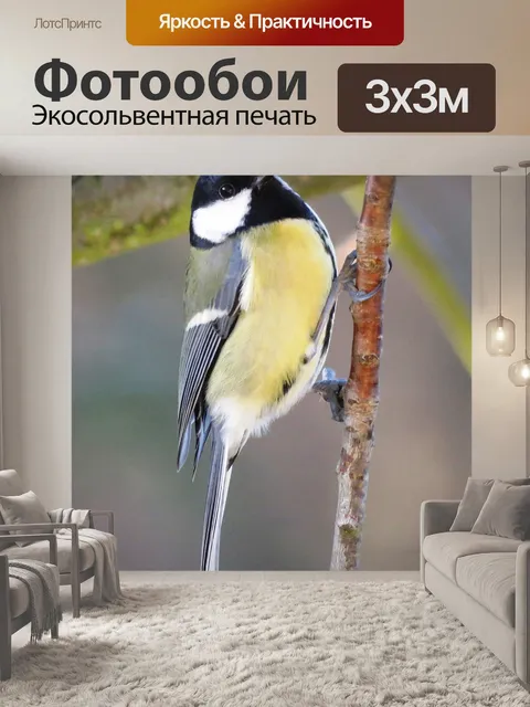 Фотообои Птица