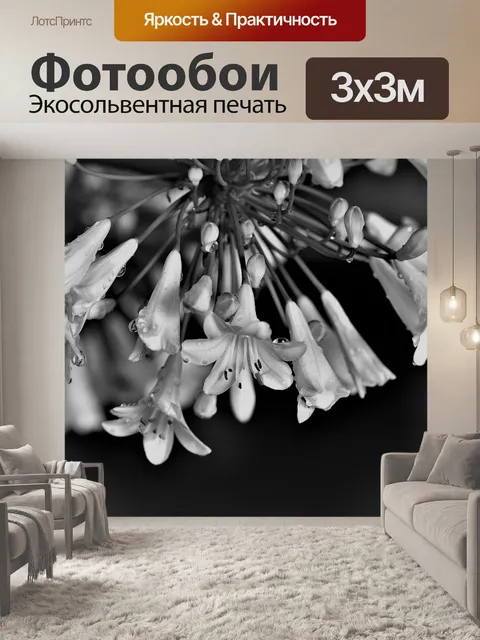Фотообои Декоративная лилия