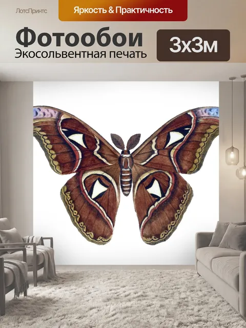 Фотообои Бабочка винтаж