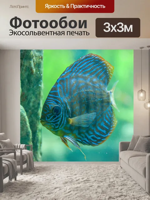 Фотообои Голубой диск
