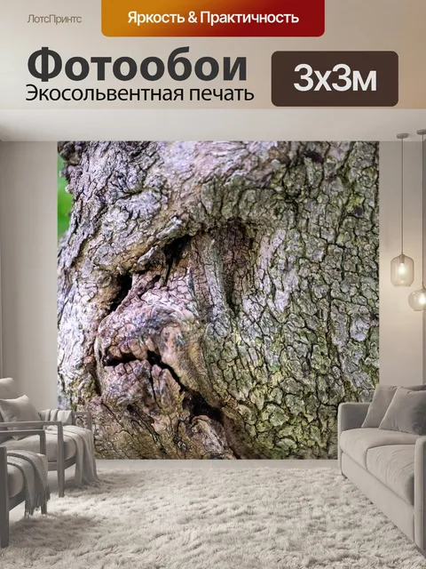 Фотообои Кора