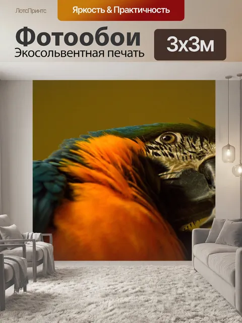 Фотообои Сине-золотой ара