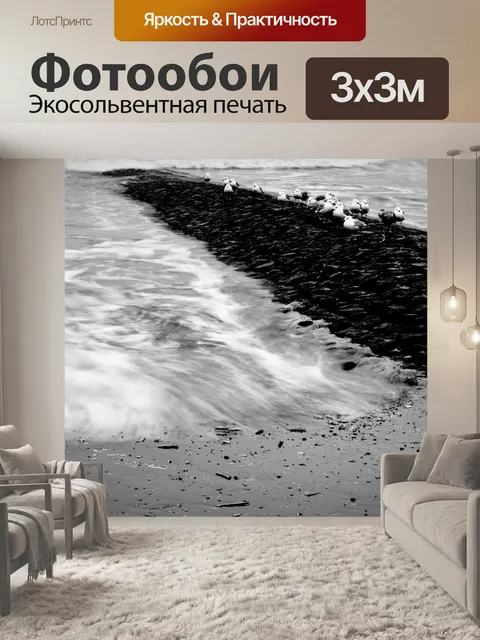 Фотообои Чайка