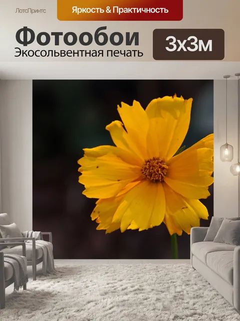 Фотообои ярко-желтая ромашка в саду