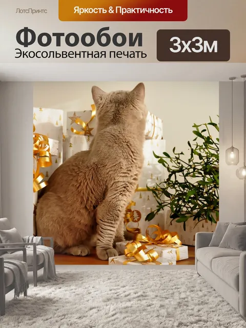 Фотообои Кот