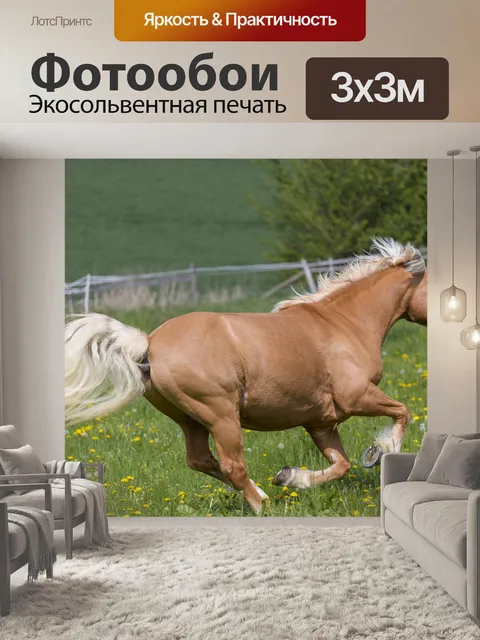 Фотообои Галопом