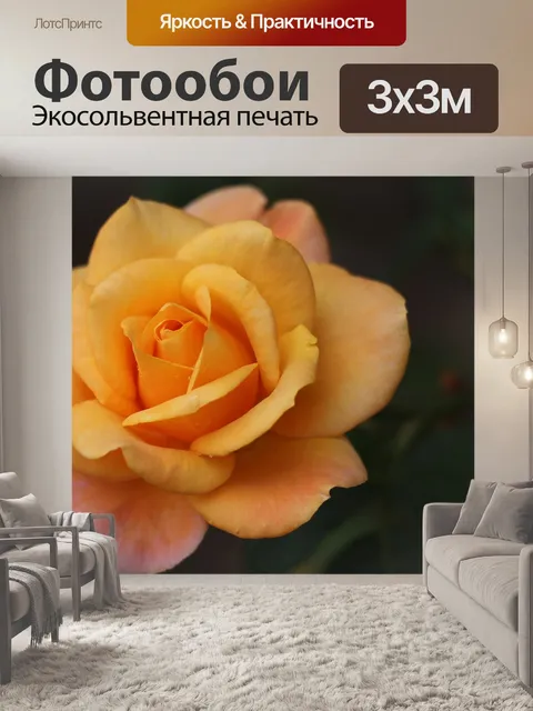 Фотообои Золотая медаль роза
