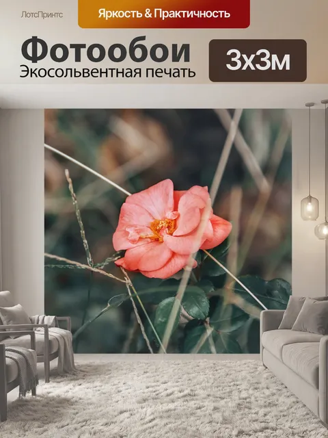 Фотообои Роуз