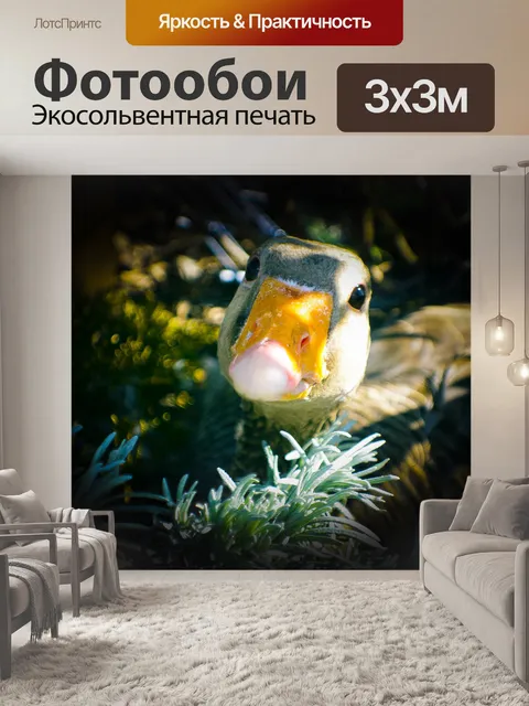 Фотообои Серый гусь