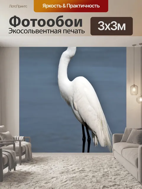 Фотообои Белая цапля