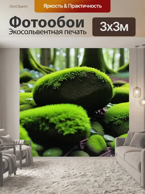Фотообои мохнатые камни у подножия деревьев