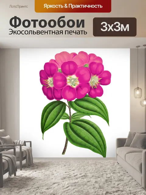 Фотообои Клипарт Цветочная роспись искусства