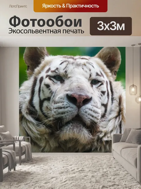 Фотообои белая голова тигра
