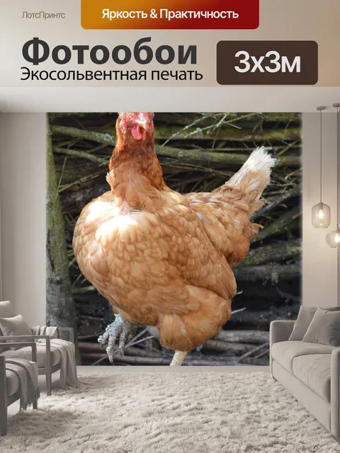 Фотообои Едином танце куриные 1