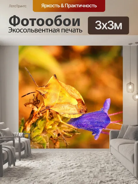 Фотообои Borczyniec фруктовый