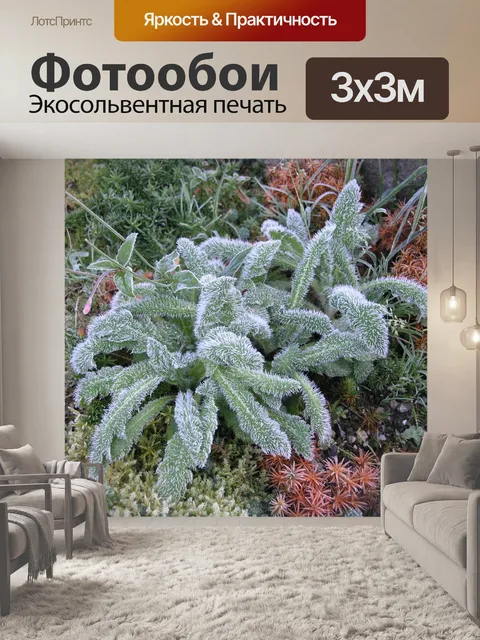 Фотообои Чистец византийский