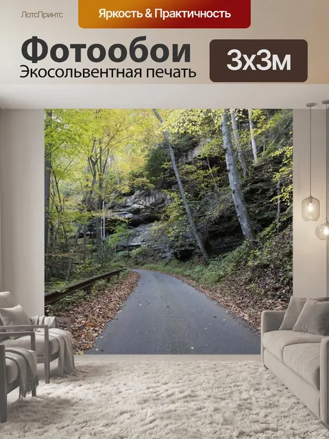 Фотообои Сельская дорога