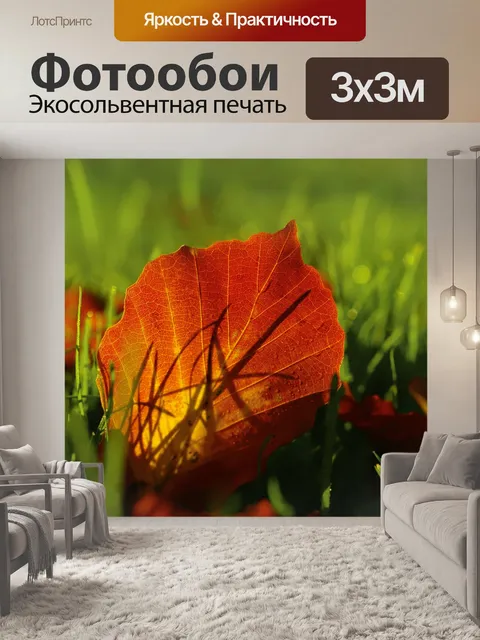 Фотообои Осенняя листва лист макросъемка