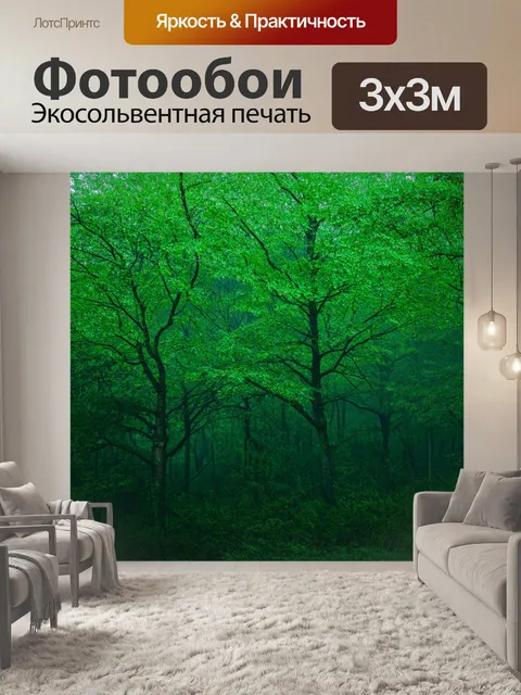Фотообои густой лес, где множество деревьев различного вида и размера, утопают в тумане