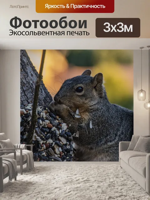 Фотообои Серая белка в еде дерева