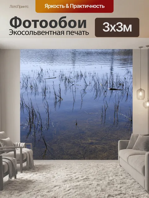 Фотообои Озерной воды и тростника