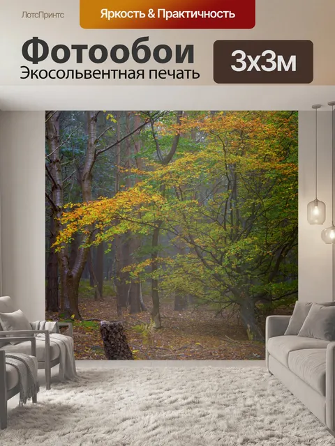 Фотообои Туманный лес