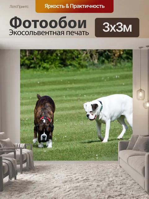 Фотообои Собаки
