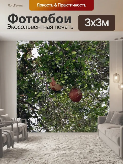 Фотообои Дхундхул