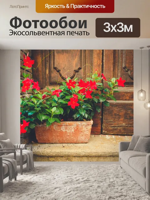 Фотообои Цветы на пороге
