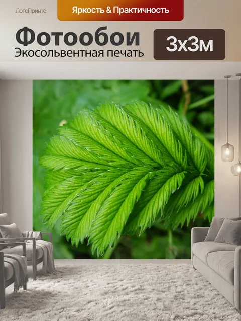 Фотообои Природа